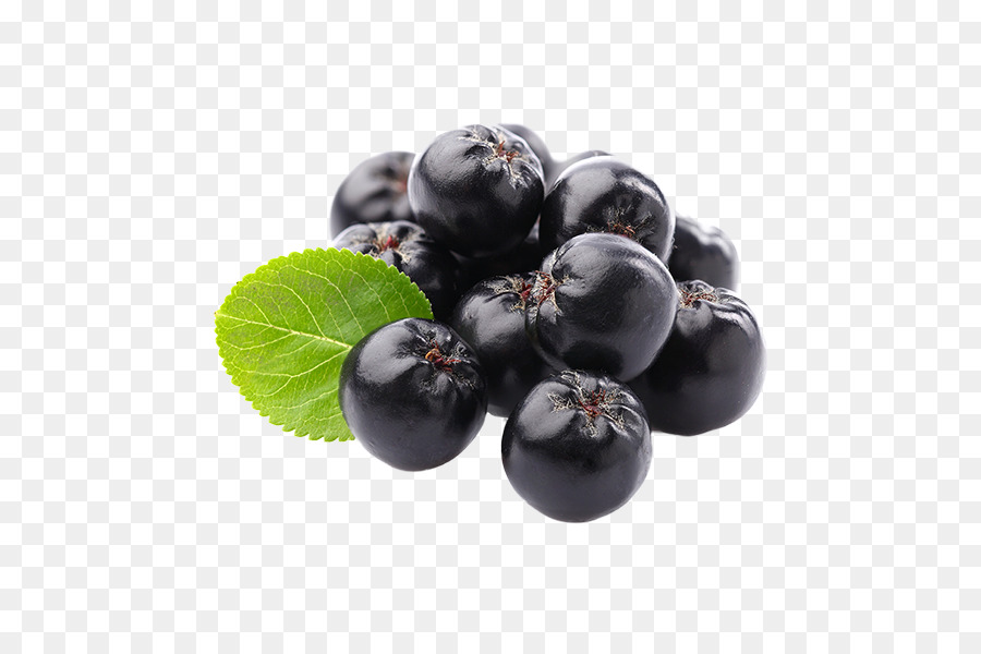 Aronia melanocarpa Juice Organic Aronia Berries Food - mountainash png aronia melanocarpa