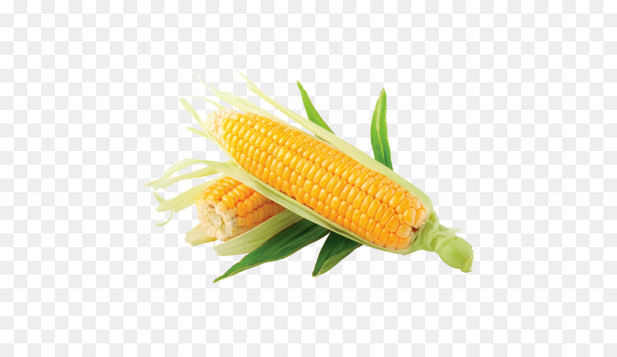 Mais dolce Baby corn Grano Grana Corn kernel - immagine Cereale png