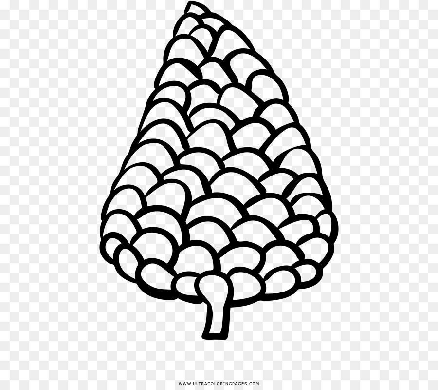 Clip art Tree Pine Portable Network Graphics Line art - pigna png conifera cono