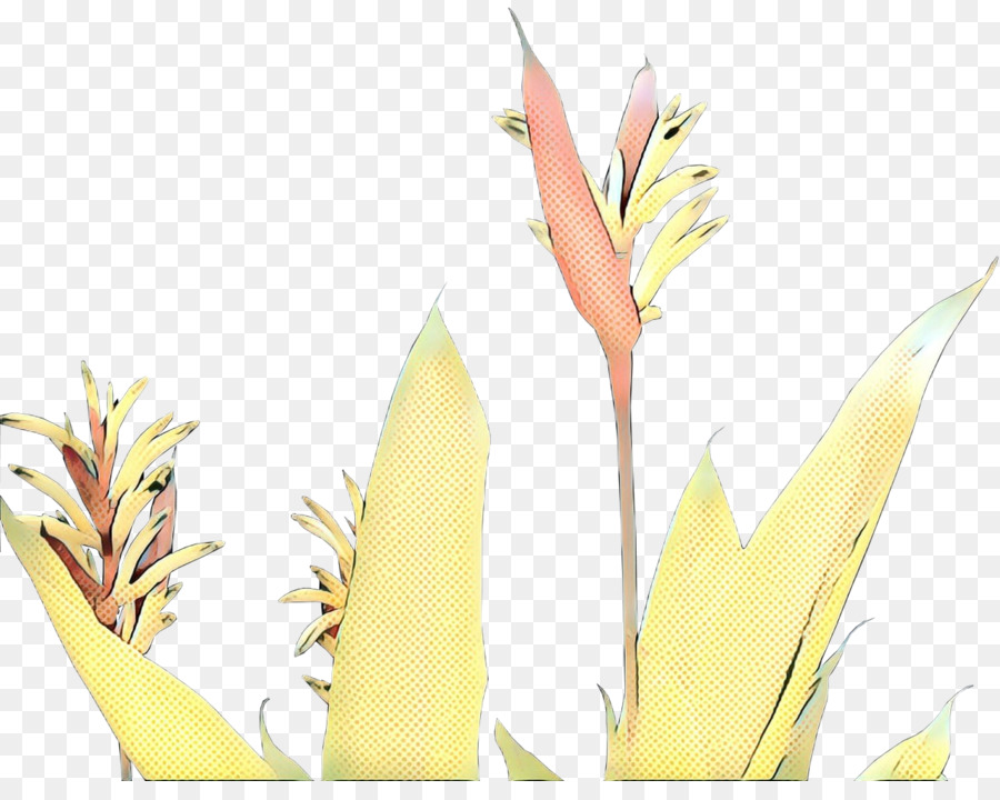 Fiore giallo delle materie prime delle erbe - 