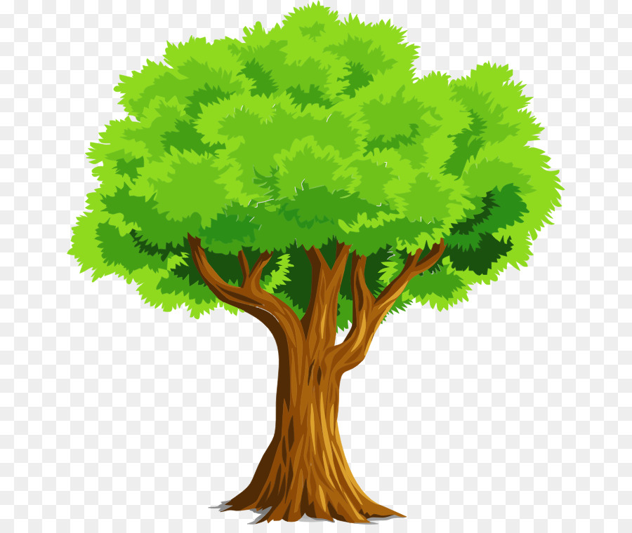 Vektorgrafiken ClipArt Portable Network Graphics Tree Image - Natur Cartoon Png Bäume Pflanzen