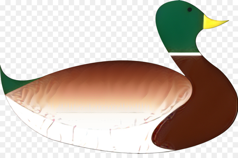 Mallard Duck Product design Clip art - 