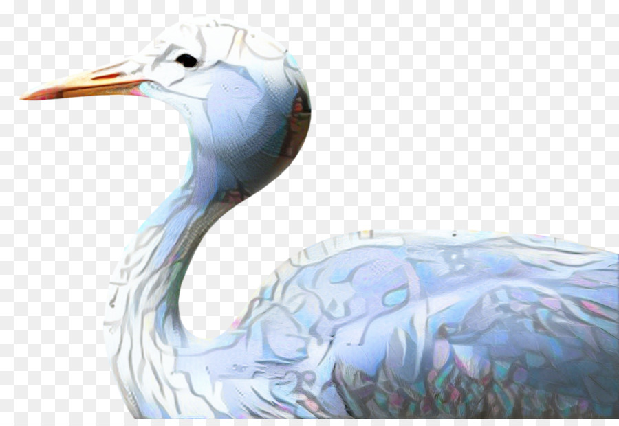 Seevogel Schnabel Wasservogel - 