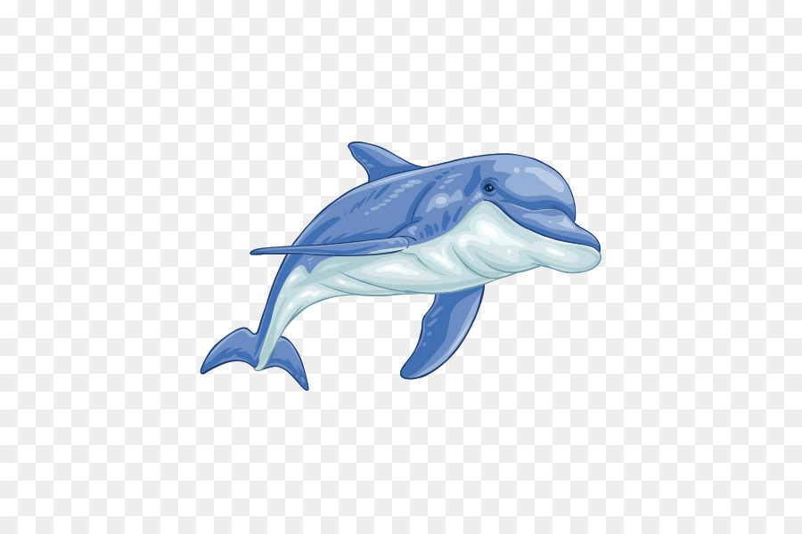 Chung cá heo Ngắn có mỏ chung dolphin Tucuxi Wholphin - biển cá heo png biển