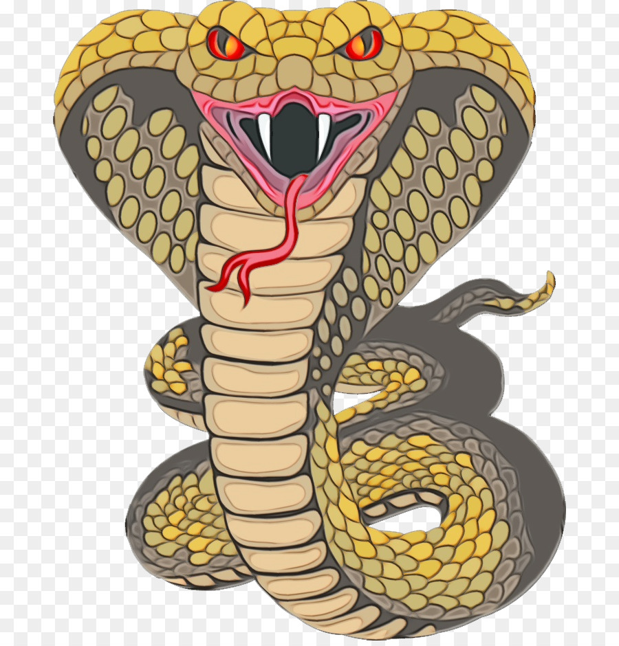 Illustrazione di serpente di serpenti a sonagli Kingsnakes - 