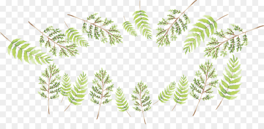 Niederlassungs-Pflanzenstamm Gras-Blatt-Linie - 