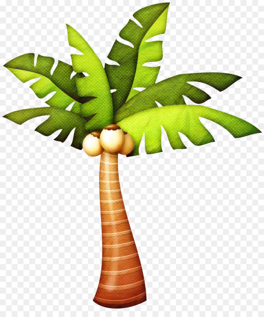 Palm tree Clip art Portable Network Graphics Drawing Image - 