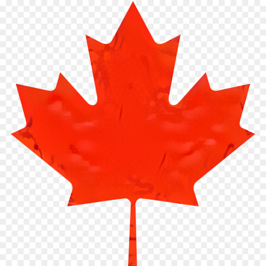 T-shirt in foglia d'acero Bandiera del Canada - 