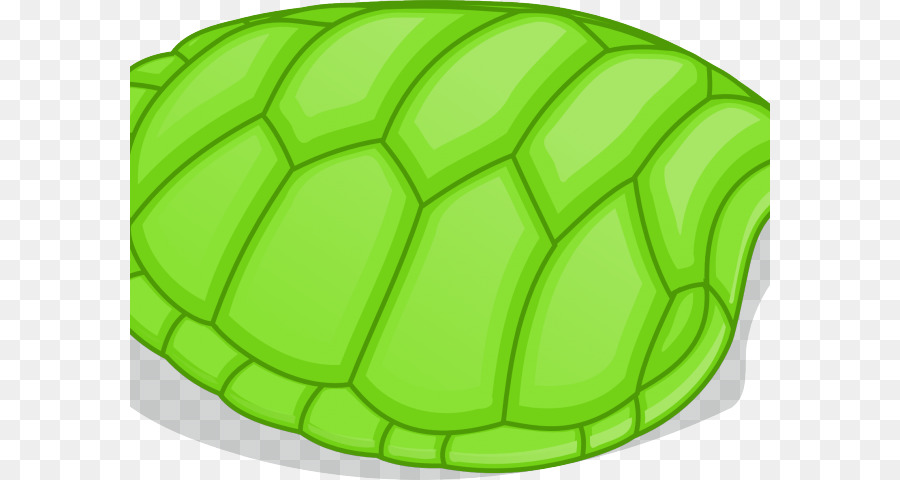 Schildkrötenpanzer ClipArt Reptile Portable Network Graphics - Sand