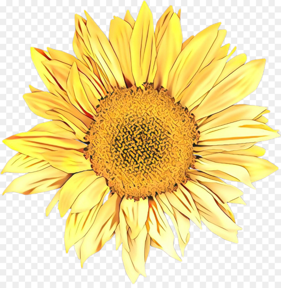 Stock photography Sunflower Image Lizenzfreie Bilder - 