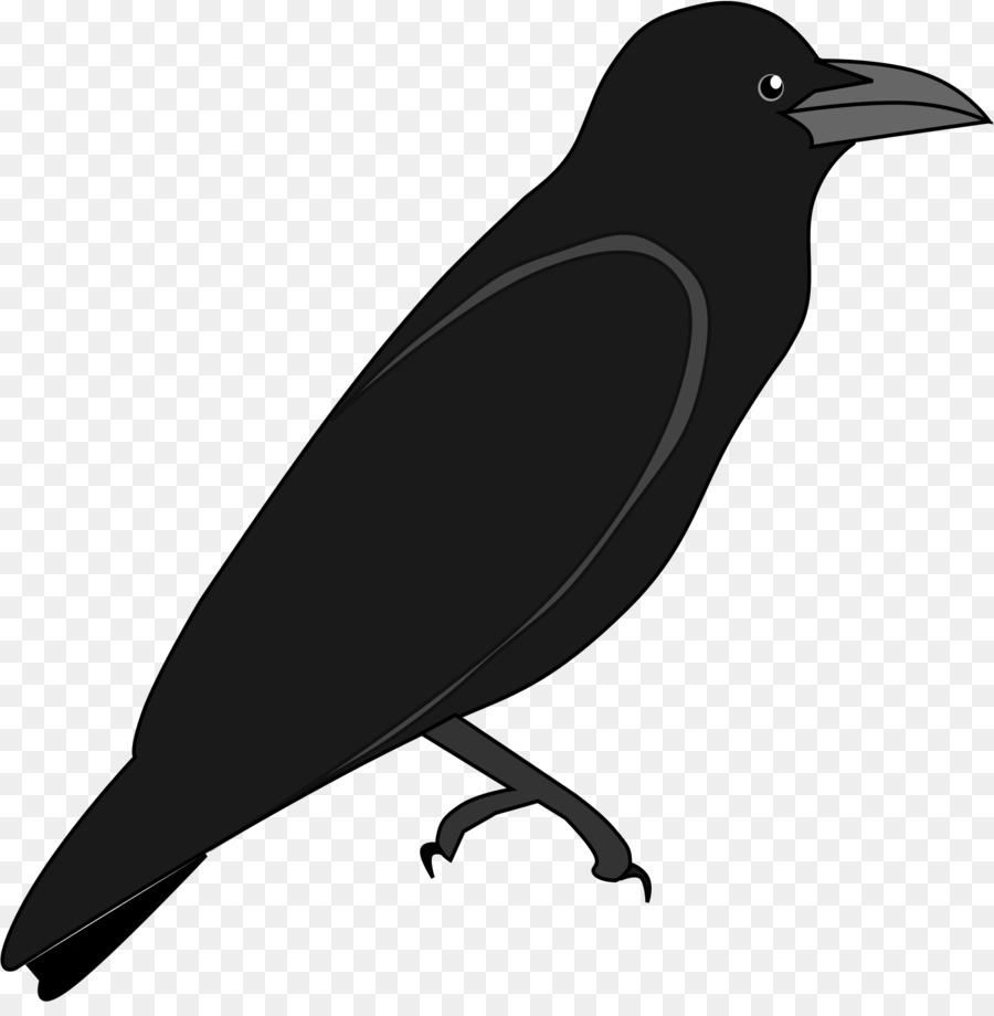 Cartoon Bird png download - 1886*1901 - Free Transparent American Crow png  Download. - CleanPNG / KissPNG