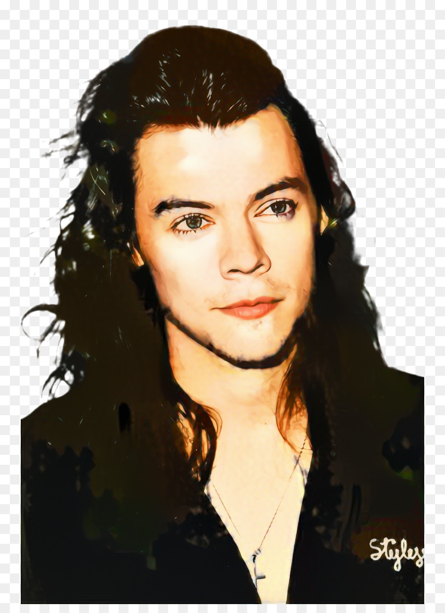 Harry Styles Kiểu tóc dài Bím tóc - 