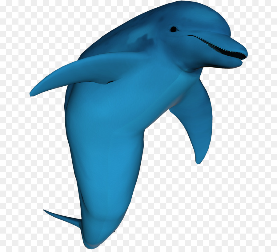 Gemeiner Tümmler Tucuxi Kurzschnabeliger Delfin Rauher Zahn Delfin - Delphin Png Clipart