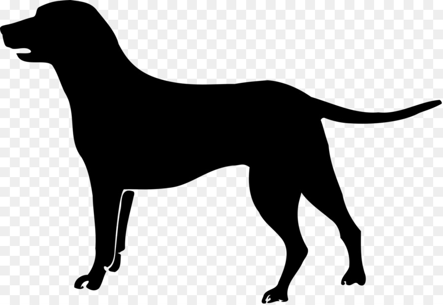 Labrador Retriever Welpen Boxer Rottweiler Havaneser Hund - Labrador