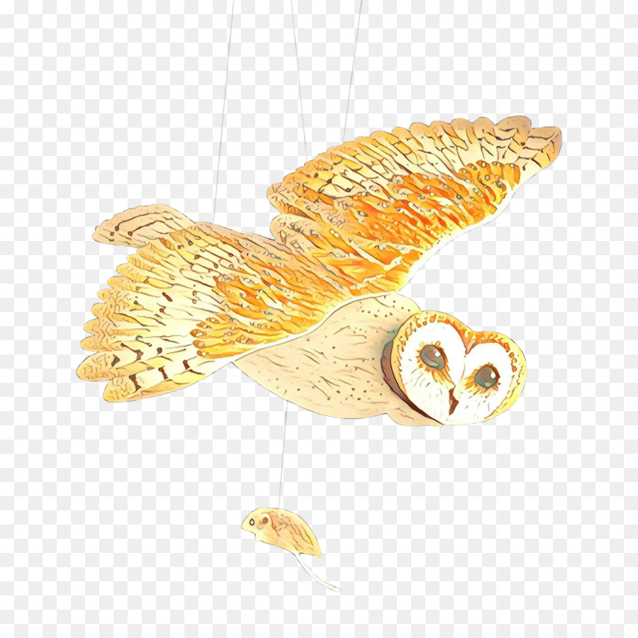 Owl fulvo Bird Barn owl Piccolo gufo - 