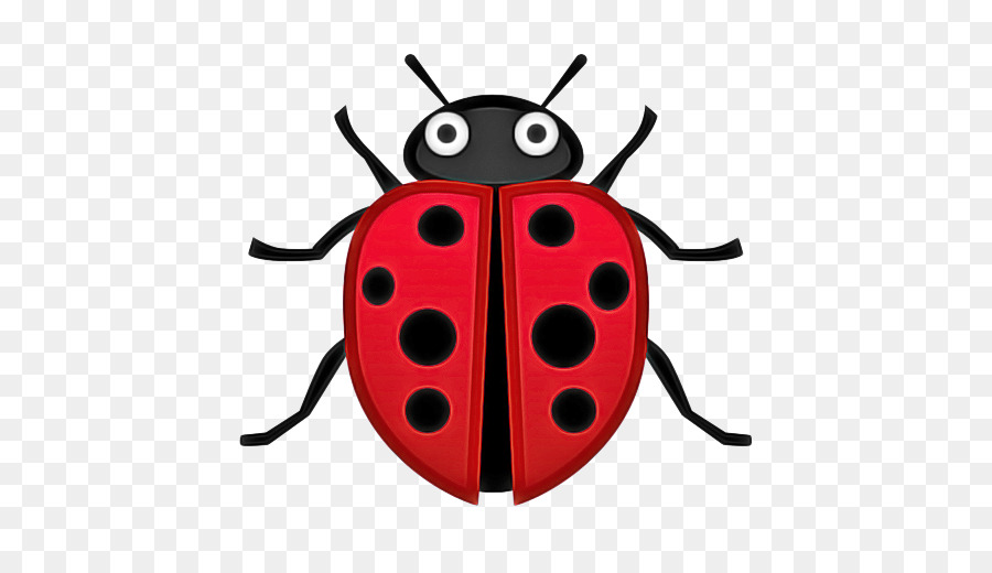 Ladybird bọ cánh cứng Biểu tượng mạng di động Đồ họa bọ rùa - 