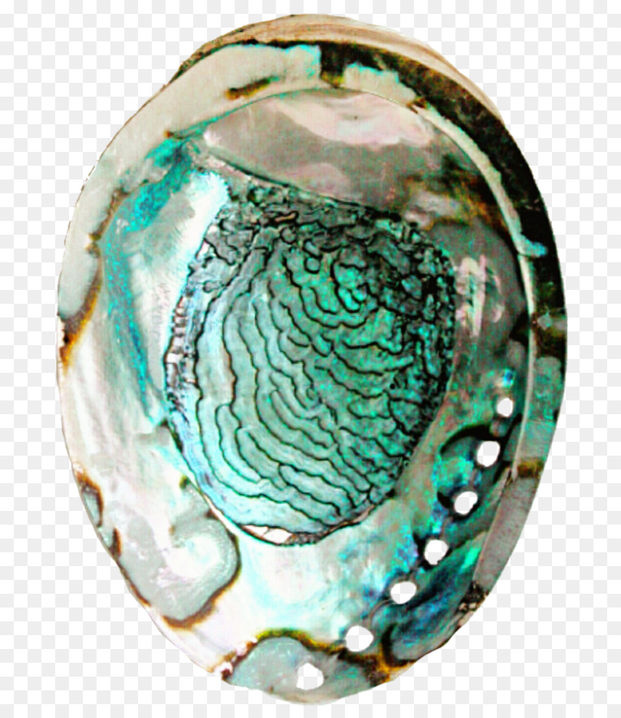 Abalone Aqua