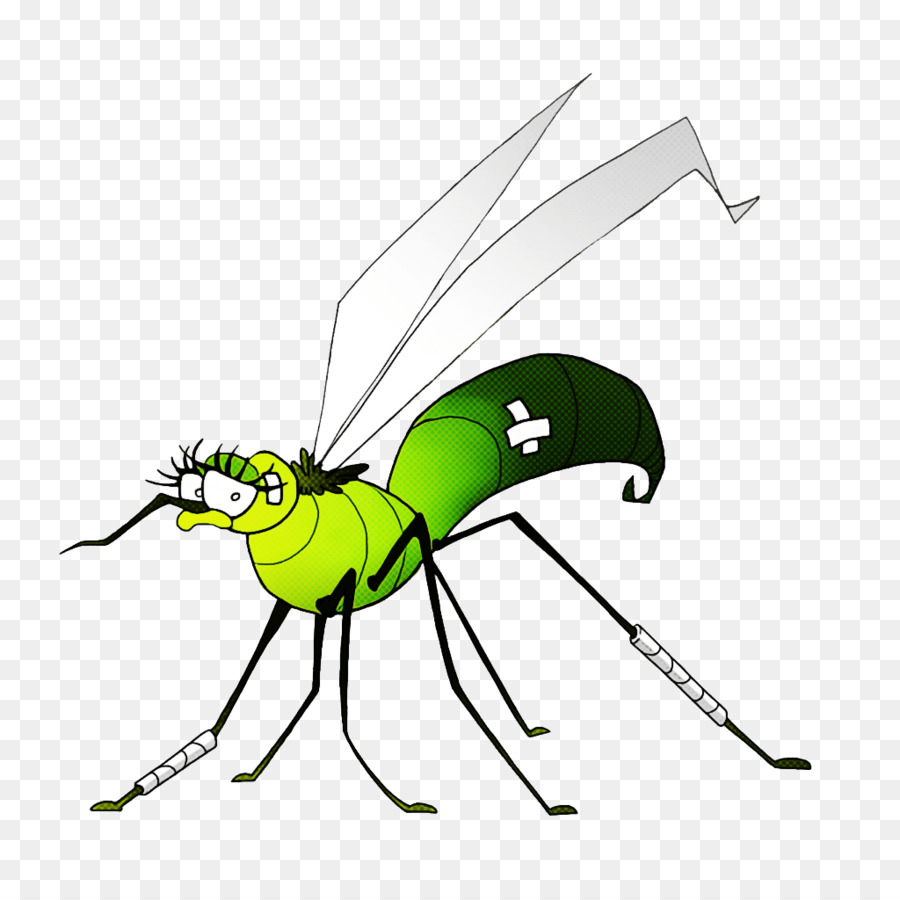 Gelbfieber-Mücke Insektenfliege ClipArt - 