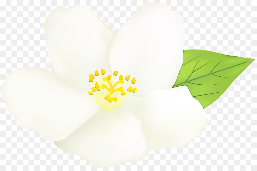 Immagine ClipArt Portable Network Graphics Flower - 