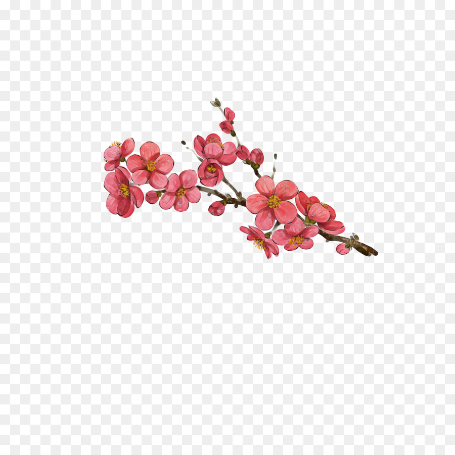 Kirschblüte Bild Kirschblume - 