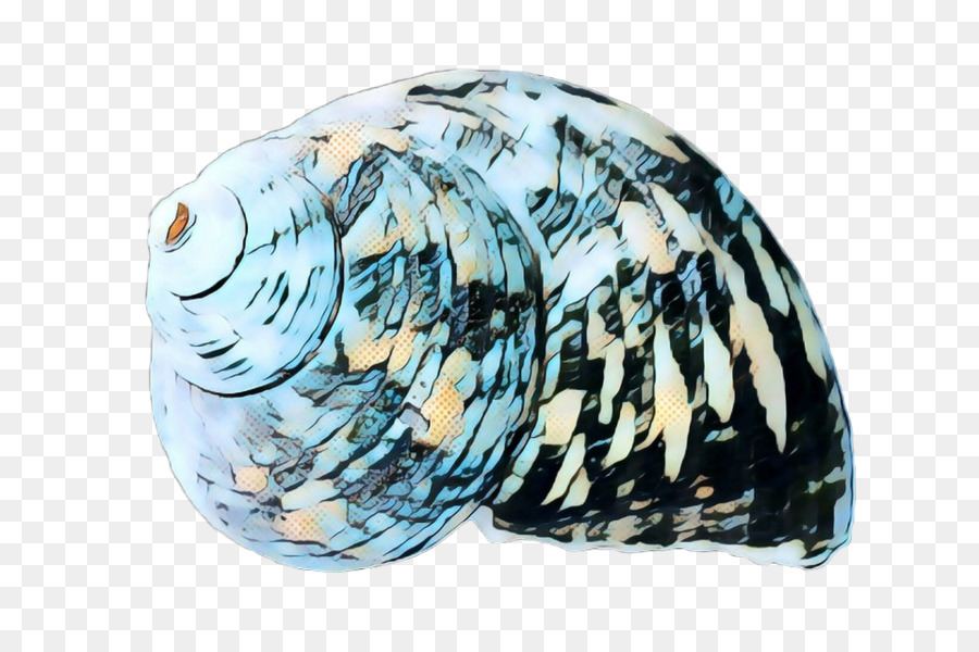Seashell-Herzmuschel-Transparenz-Muschel-bewegliche Netz-Grafiken - 