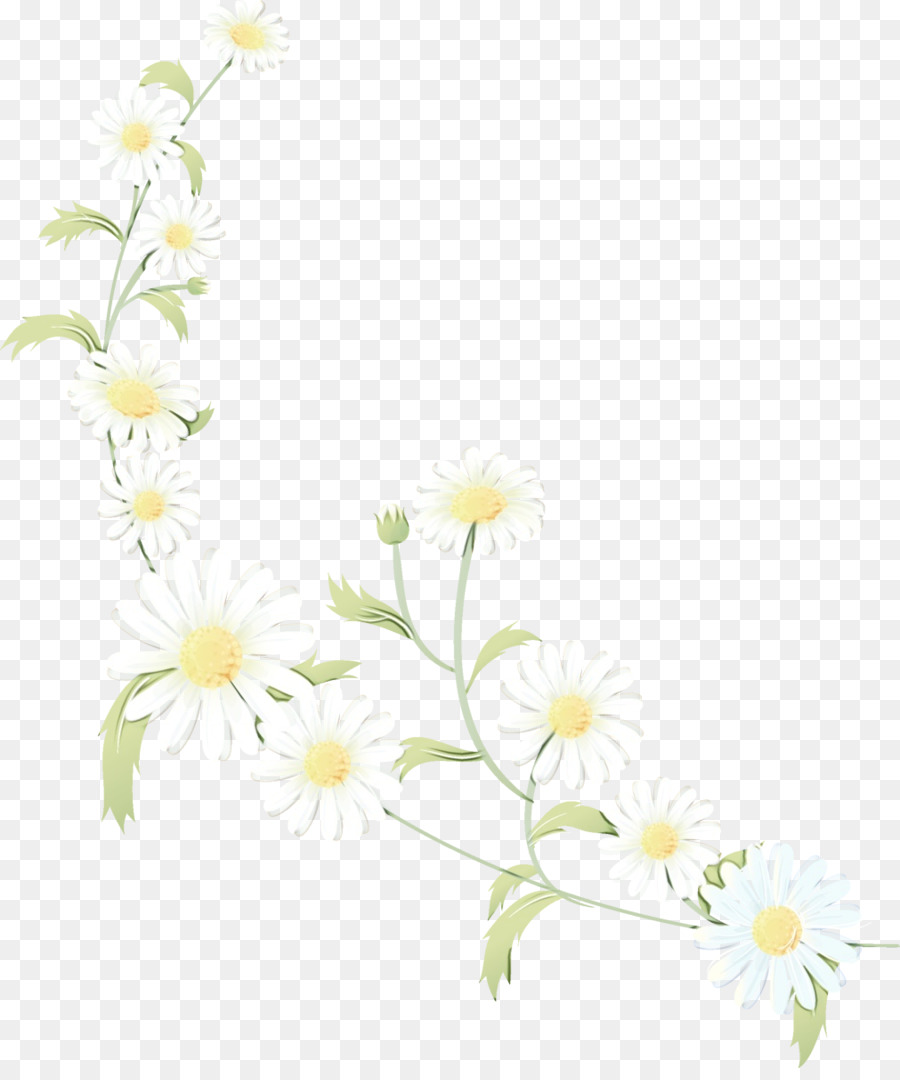 Blumenmuster Rosenfamilie Zweig - 