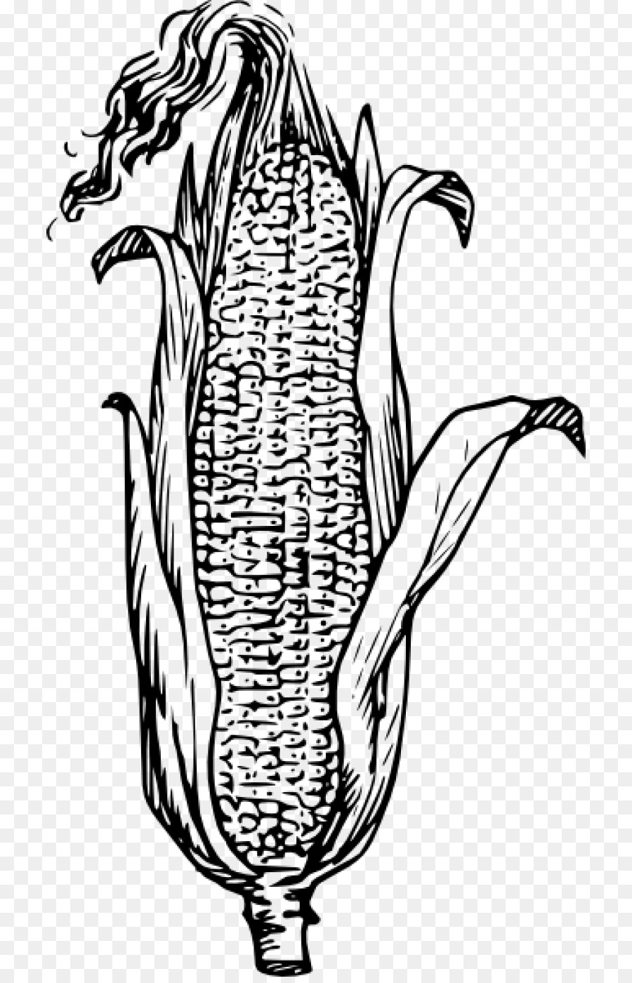 Book Black And White png download - 768*1391 - Free Transparent Corn On The  Cob png Download. - CleanPNG / KissPNG