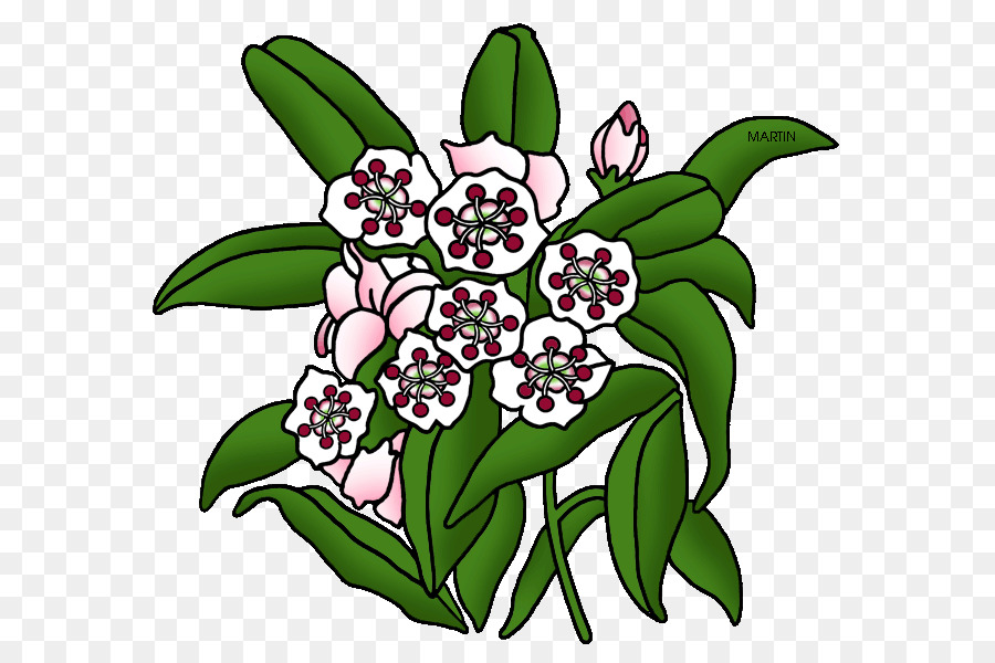 Clip art Floral design Mountain-laurel Portable Network Graphics Flower - Orangerie