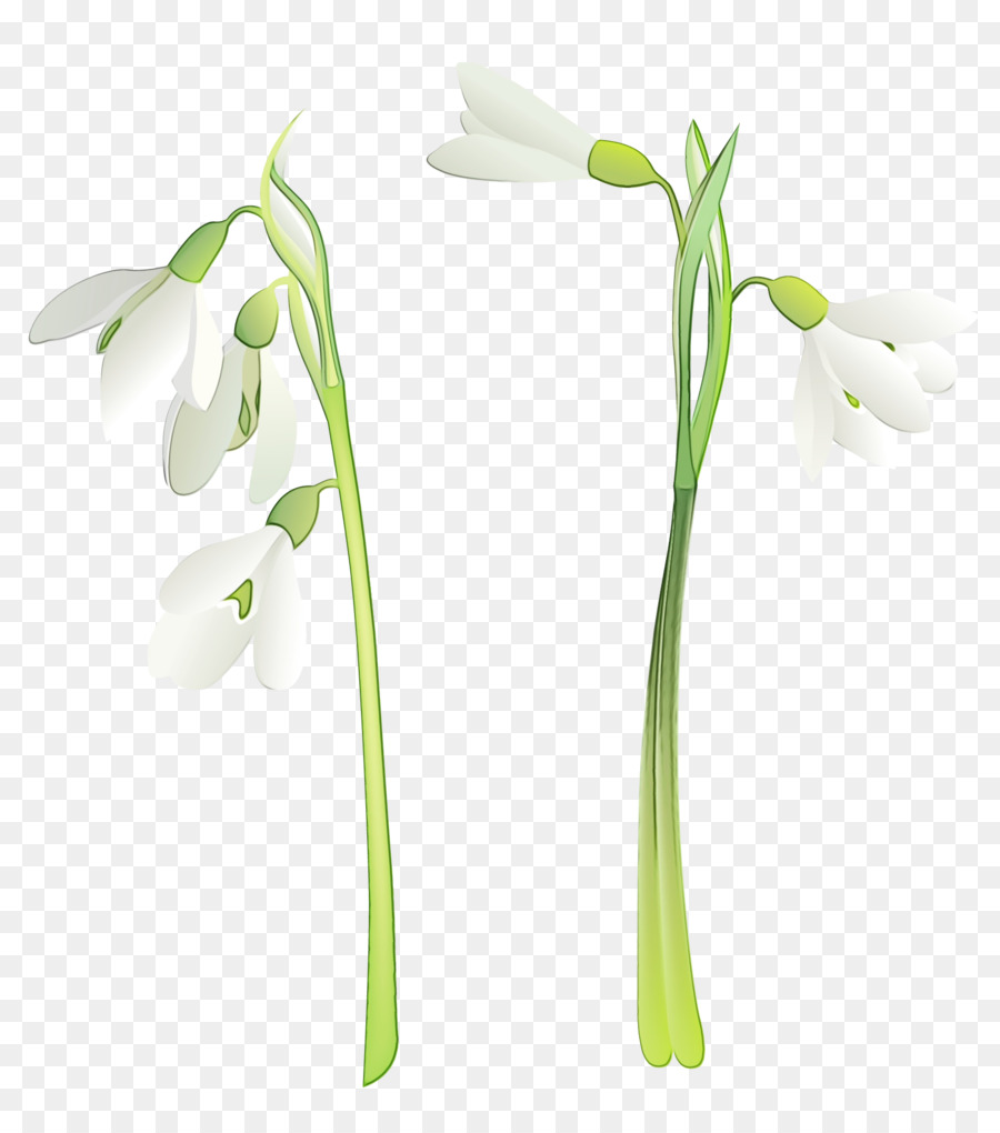 Clip Art tragbare Netzwerkgrafiken Flower Design Image - 