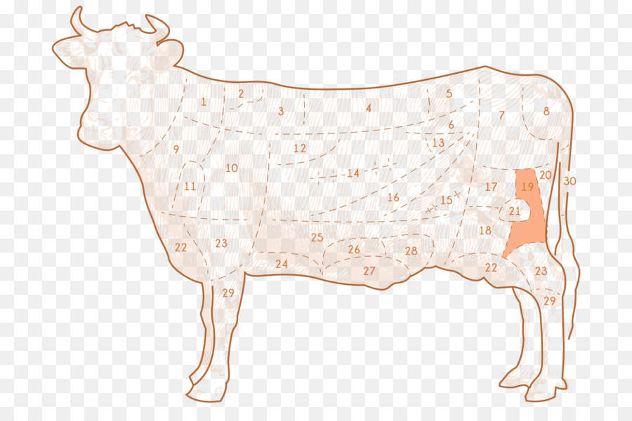 Bò sữa Calf Ox hình chữ nhật M - khung sườn