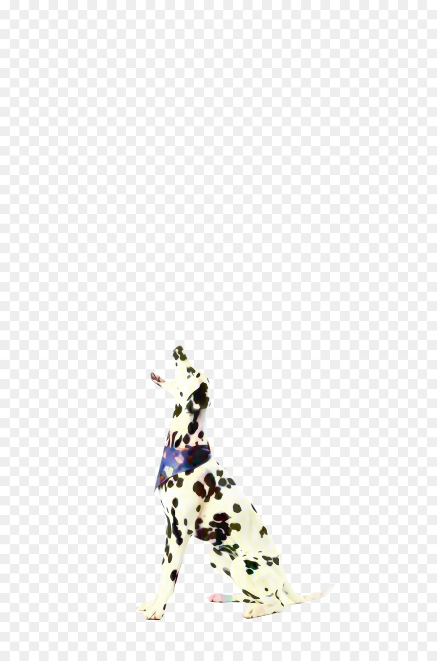 Dalmatinischer Hund Hunderasse Shoe Paw Pattern - 