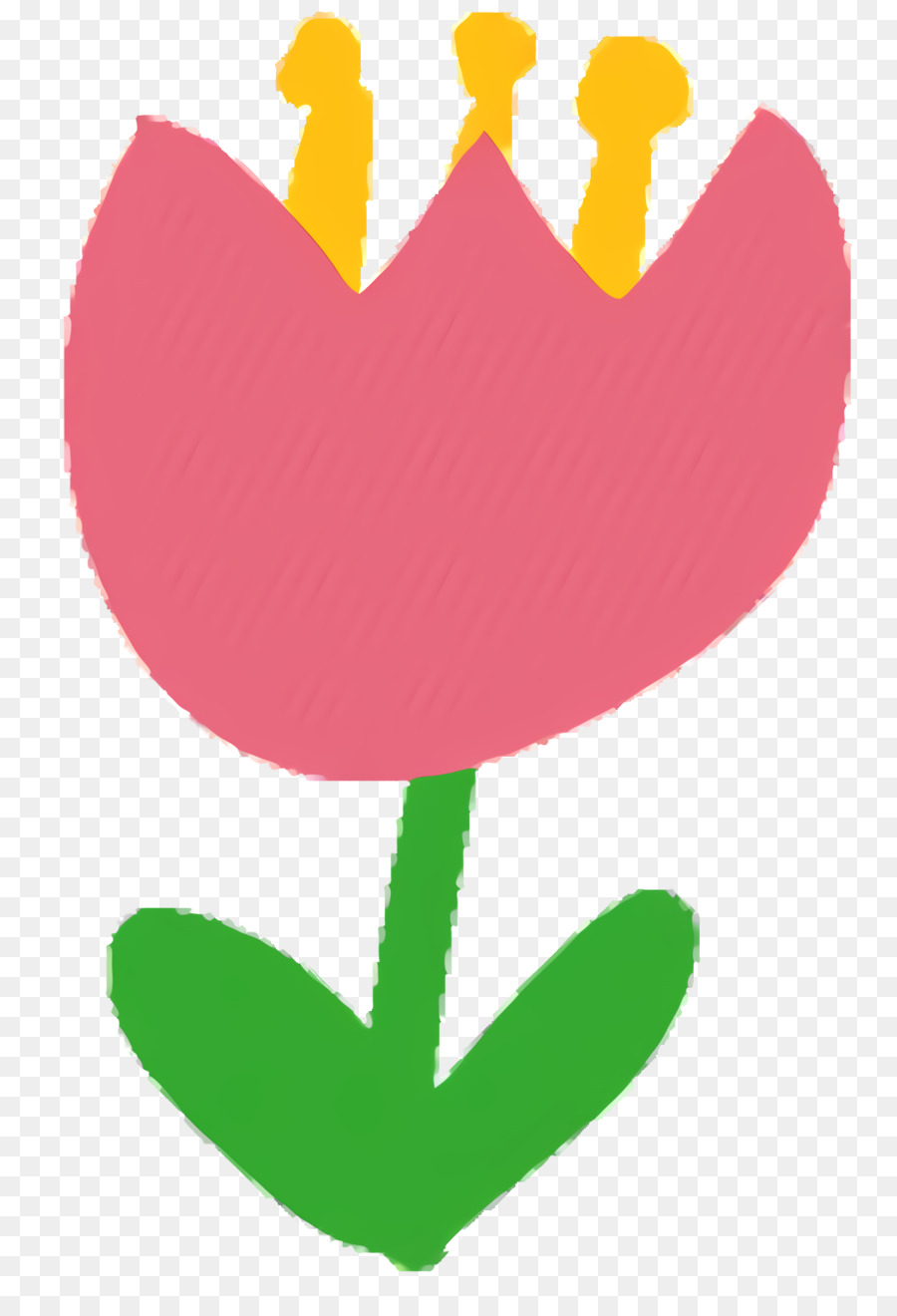 Hoa tulip Clip nghệ thuật Cây thân lá - 