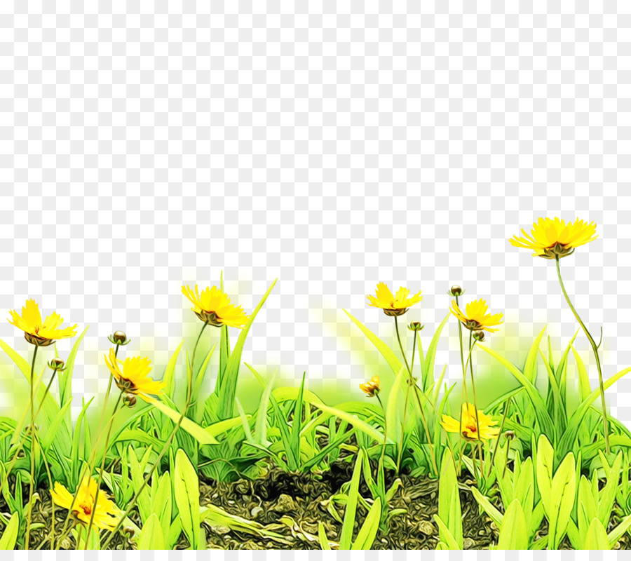 Grafica di rete portatile Flower Clip Art Image Psd - 