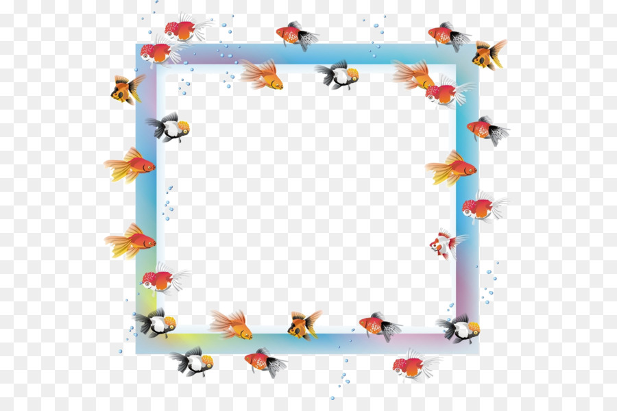 Bilderrahmen Goldfish Portable Network Graphics Filmrahmen - Rahmen Goldfisch