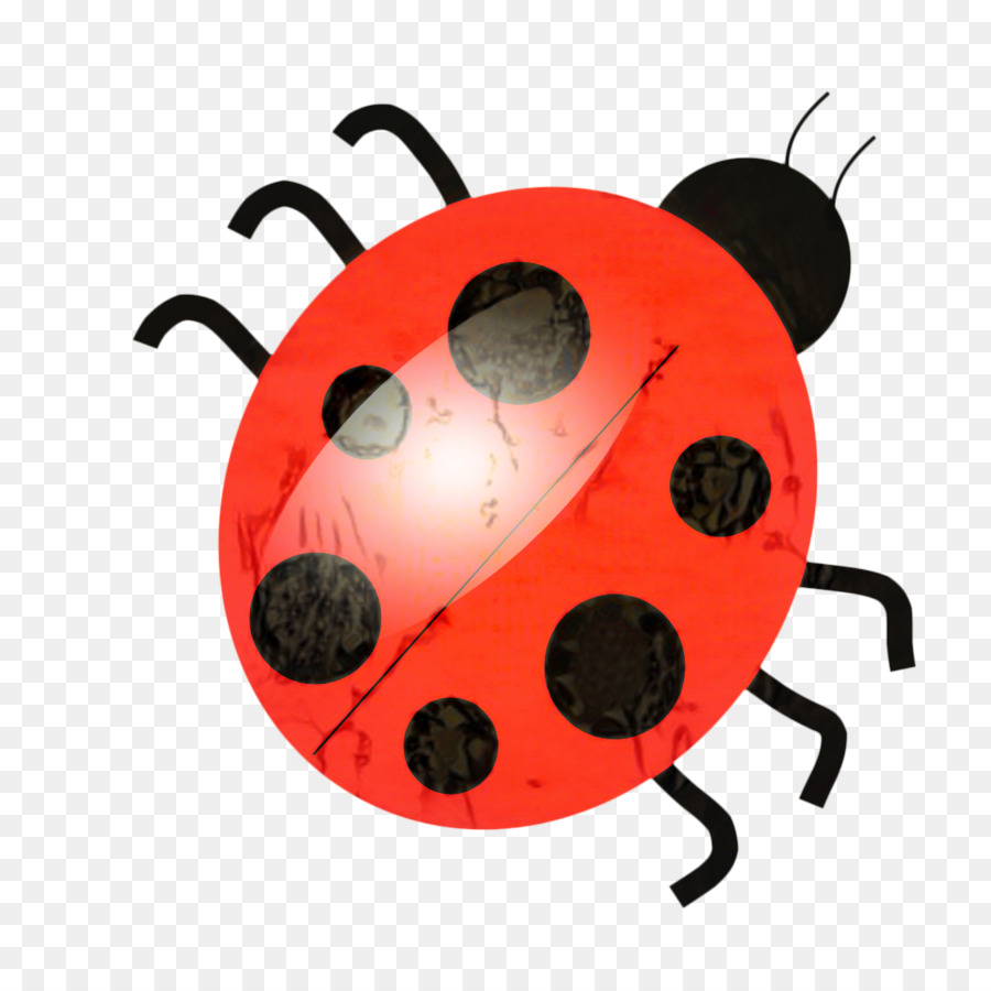 Vẽ bọ cánh cứng Ladybird Phim hoạt hình minh họa - png tải về - Miễn phí  trong suốt Côn Trùng png Tải về.