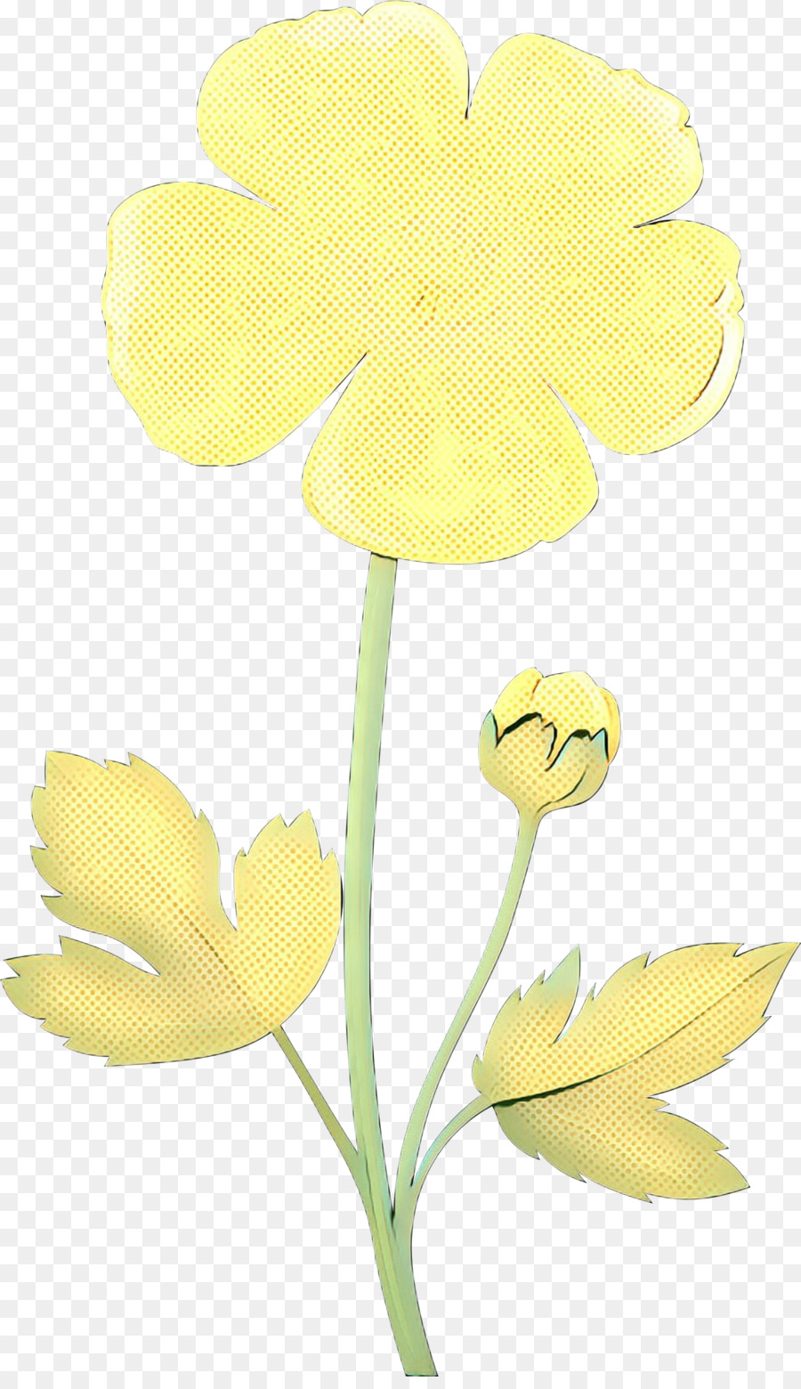 Orchidee falena Fiori recisi Gambo vegetale Giallo - 