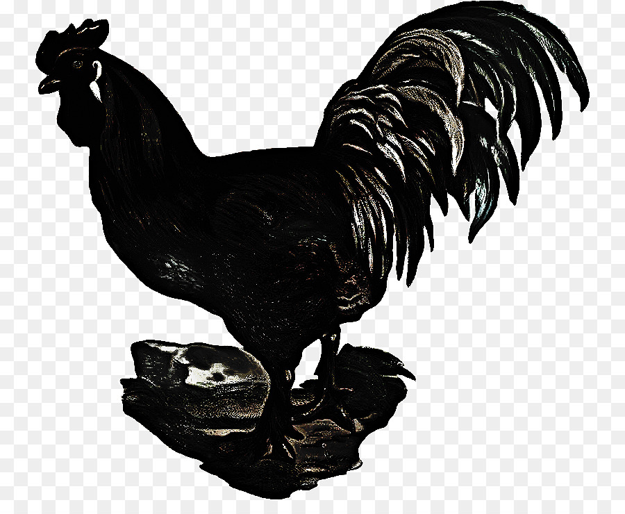 Gallo di pollo GIF Animazione - 