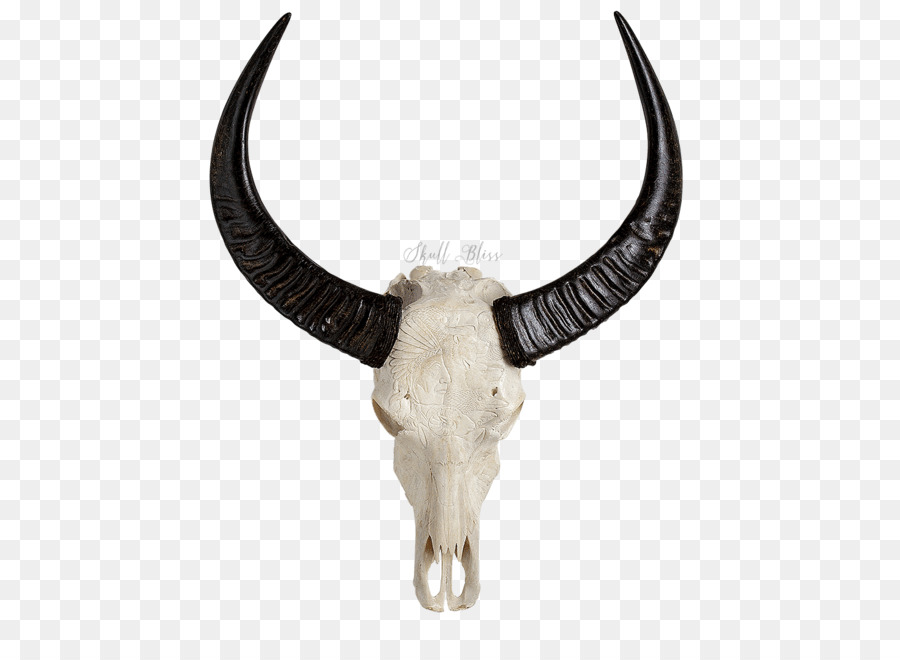 Animal Skulls Portable Network Graphics Clip art - corni india