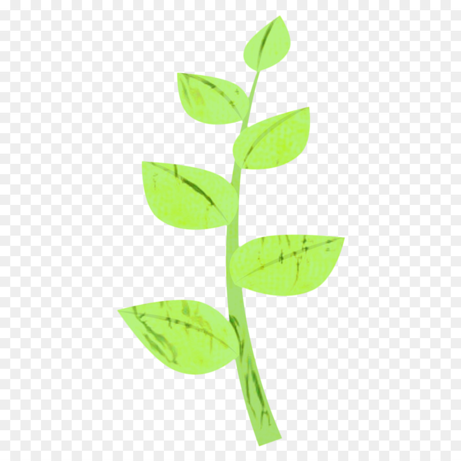 Blatt Pflanze Stamm Pflanzen - 