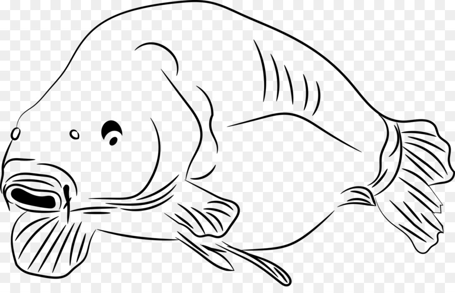 Hình Vẽ Cá Chép Cách Vẽ Cá Chép Đơn Giản Dễ Vẽ