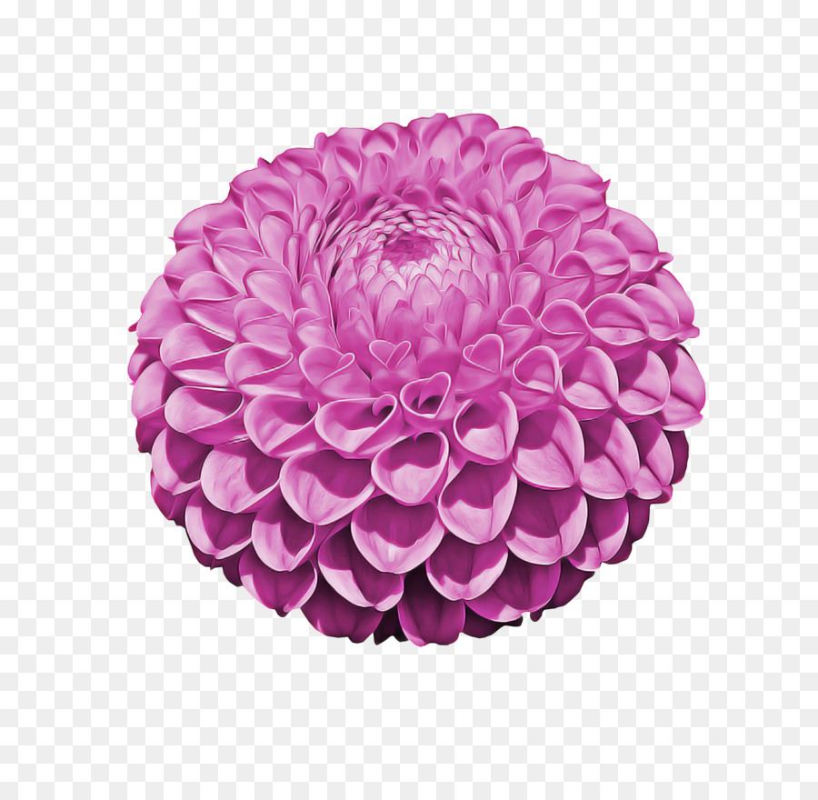 India Flower Background