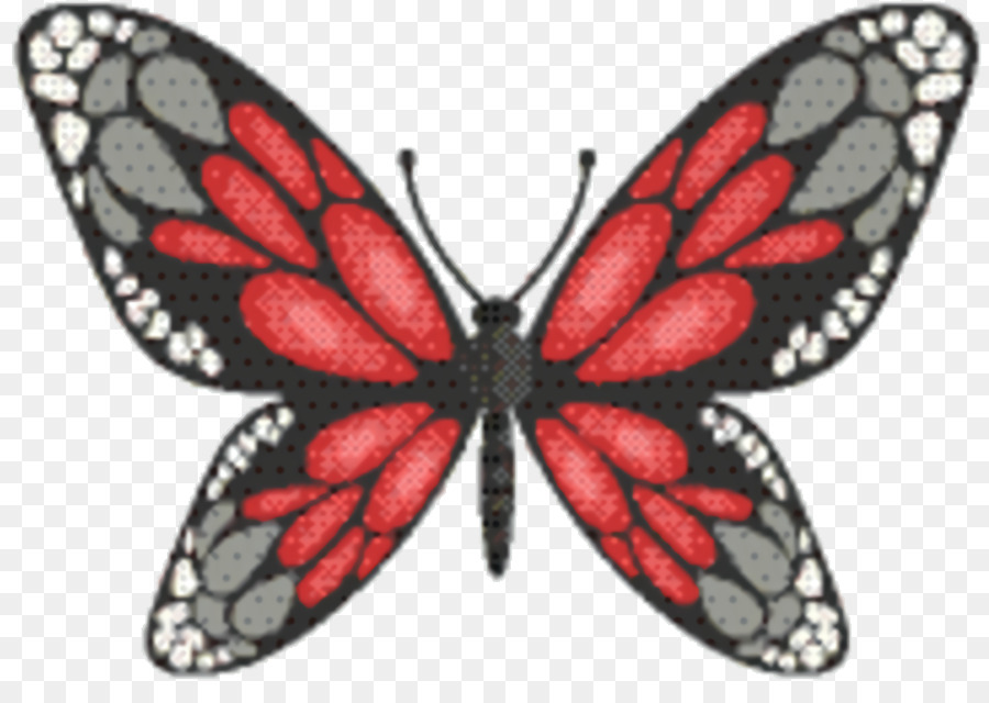 Monarchfalter Seidenraupe Pieridae Brush footed Schmetterlinge - 