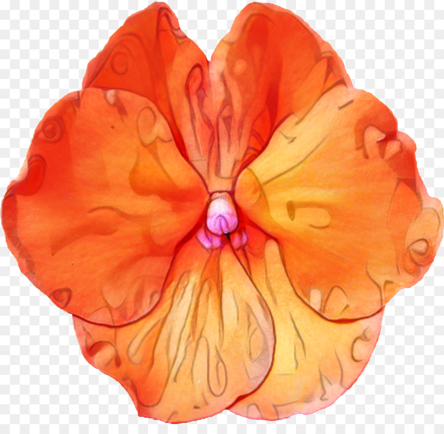 Blütenblatt Schnittblumen - 
