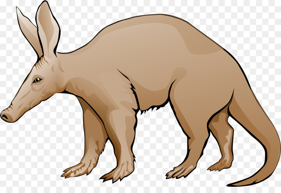 Animal Cartoon png download - 1396*931 - Free Transparent Aardvark png  Download. - CleanPNG / KissPNG