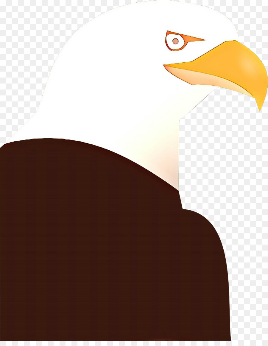 Bald Eagle Illustration Clip art Uccello becco - 