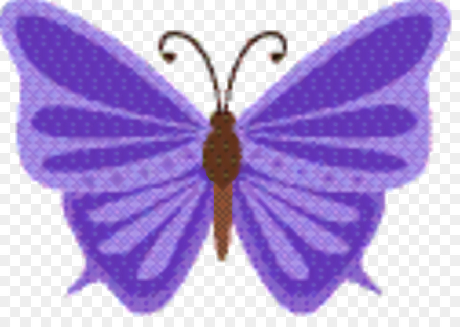 Farfalle dai piedi di pennello Farfalle dalle ali gossamer Falena viola - 