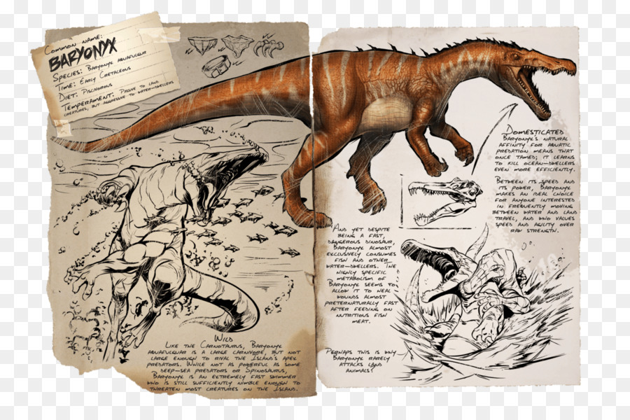 Baryonyx ARK: Trò chơi video khủng long tiến hóa sinh tồn Carnotaurus - hòm  sống sót tiến hóa baryonyx png png tải về - Miễn phí trong suốt Khủng Long  png Tải về.