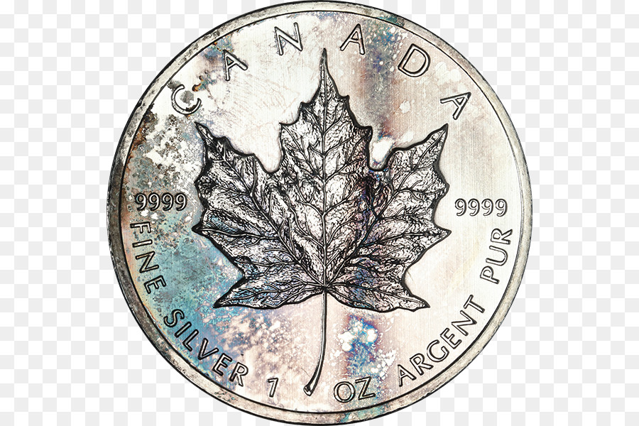 Blatt Baum - Kanada Silber