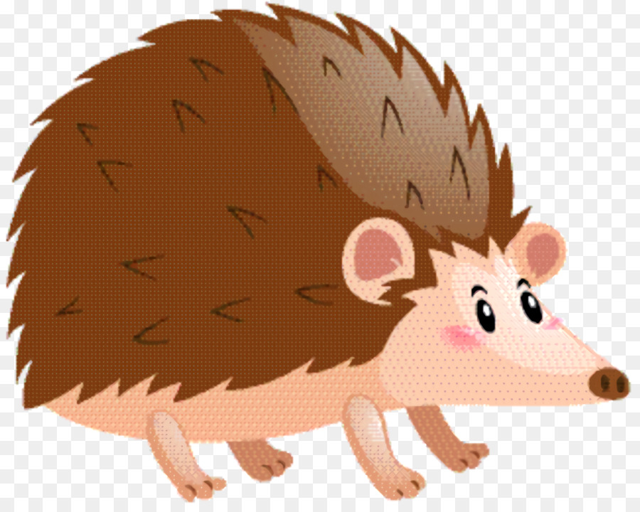 Illustrazione Hedgehog Pig Clip art - 