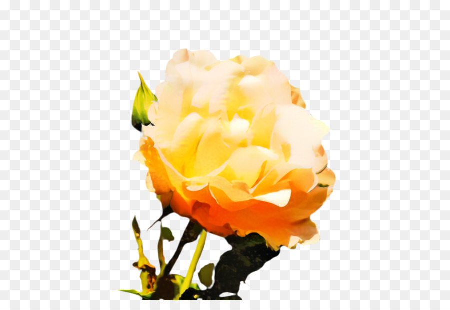 Hoa hồng trong vườn hoa đã Cắt Hoa thiết kế - 